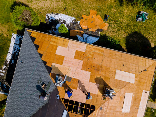 Best Storm Damage Roof Repair  in West Pensacola, FL